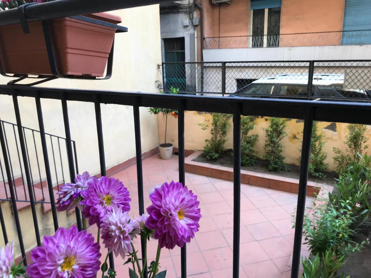 Dr House Apartment 卡塔尼亚 外观 照片